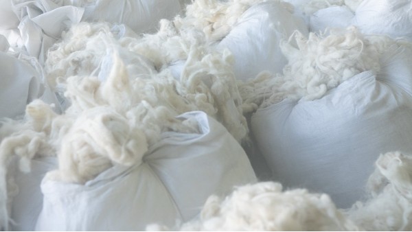 品牌方要知道哪种羊绒品质更高？