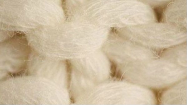 揭密羊绒的归类，羊绒衫生产厂家赤峰市昭乌达羊绒带你去了解（一）