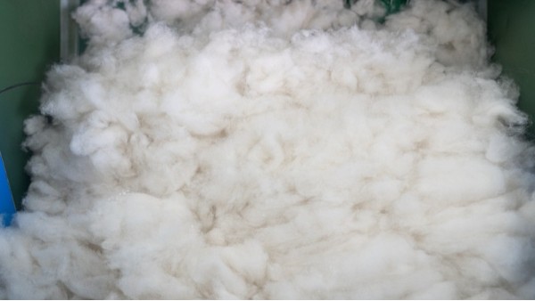 山羊绒，绵羊绒和美丽奴羊毛到底哪个好？羊绒衫厂家来告诉你