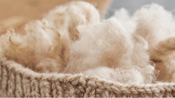 品牌方要知道羊绒的采集方式也会影响羊绒的质量
